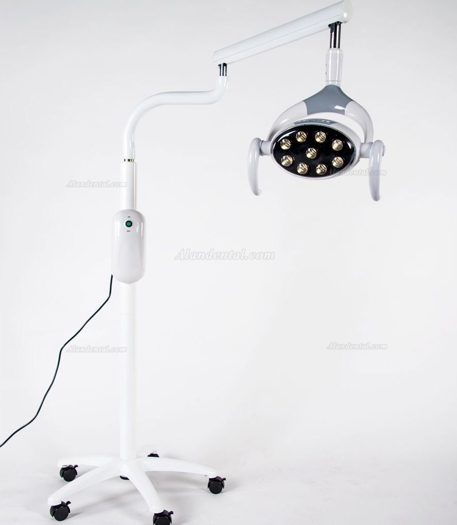 Saab® P106A Dental Oral Light Patient Light Floor Standing (Mobile Type)